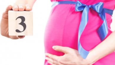 Photo of لـ صحة الجنين.. أنواع من الأطعمة يجب تناولها فورًا خلال شهور الحمل الأولى