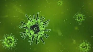 Photo of فيروس كورونا.. نصائح مهمة من الصحة العالمية لاستقبال شهر رمضان