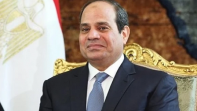 Photo of ممثل الصحة العالمية: الرئيس السيسي بادر قبل أزمة الكورونا بتعزيز الصحة العامة في مصر