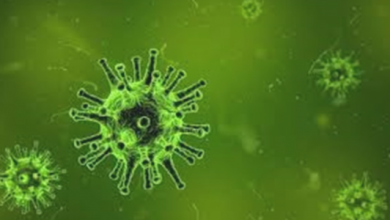 Photo of دراسة تكشف مدة فعالية المناعة بعد الإصابة بـ فيروس كورونا