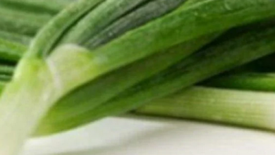 Photo of خبير تغذية يقدم فوائد تناول البصل الأخضر