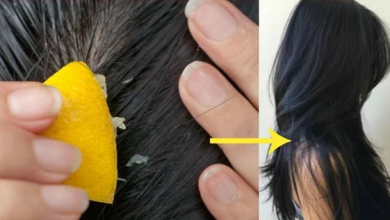 Photo of وصفة طبيعية تمنع تساقط الشعر