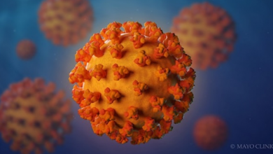 Photo of «المصل واللقاح» تكشف عن موعد الموجة الثانية لفيروس كورونا وسر انخفاض عدد الإصابات