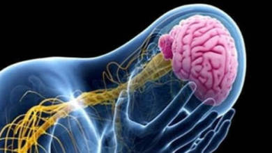 Photo of كيف يؤثر ضمور المخ على جسم الإنسان ؟
