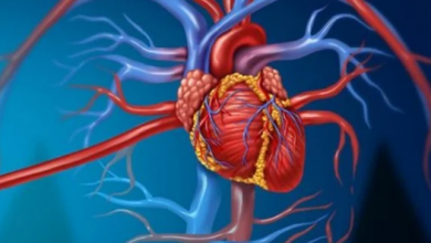 Photo of لمرضى القلب.. 5 أنواع من الأطعمة تفيدك بشكل لا يصدق