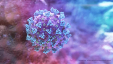 Photo of دراسة تحذر.. طفرة جديدة من فيروس كورونا تجعل الأمراض أكثر عدوى