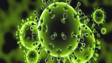 Photo of الصحة العالمية: تأمين مليار جرعة من 3 لقاحات ضد فيروس كورونا