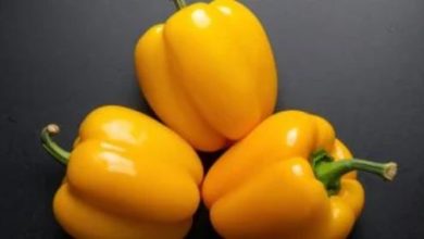 الفلفل الأحمر والأصفر